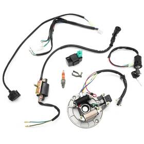 Newnessai Xy1645 Kick Starter Engine Wiring Harness Kit Replacement For X50 Crf50 70cc 110cc 125