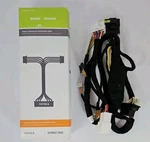 Directed Digital Systems THT0C4 T-harness 4X10/5X10/AF-D600 Toyota Scion. Fixed Price $19.99.