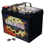 Energie 1600 Watt 12 Volt Power Cell. Fixed Price $177.00.